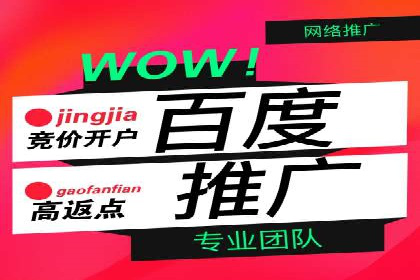 百度搜索推广实战技巧：成功案例启示录